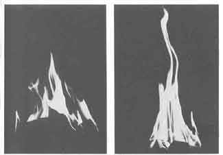 flames from awood fire with and without grate