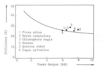 a function of the power of the fire. Points are experimental results with
different wood species.